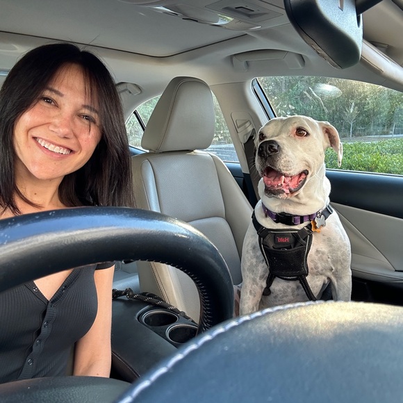 Meet Your Posher, Alanna ๐ - Picture 6 of 9